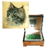 kitten box